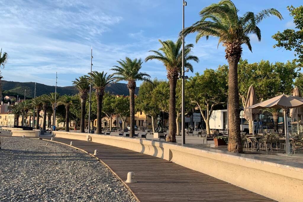 Attique A Banyuls - Vue Mer Et Montagne Exterior photo